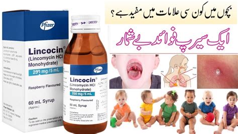 Lincocin Syrup Uses and side effects in Urdu Hindi. Lincomycin 250mg Syrup Uses and side effects ...