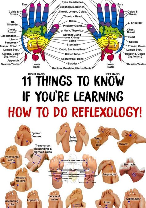 11 Things To Know If You re Learning How To Do Reflexology! | Reflexology, Reflexology ...