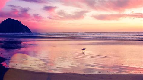 Pink Beach Sunset Desktop Wallpapers - Top Free Pink Beach Sunset ...