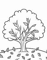 Fall Tree Coloring Page For Kids sketch template