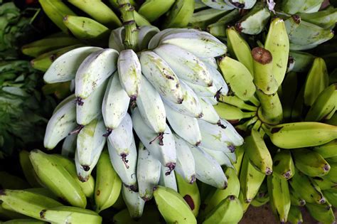 A Guide to 6 Different Types of Bananas