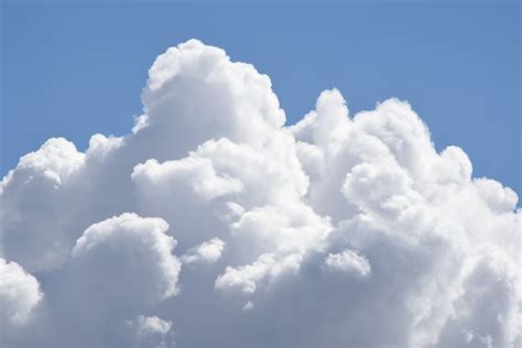 Large Cumulus Clouds #1 Free Stock Photo - Public Domain Pictures