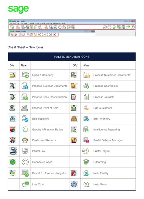 Sage Pastel Accounting Software Iconography on Behance