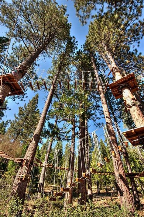 Tahoe Treetop Adventure Park - Go Tahoe North