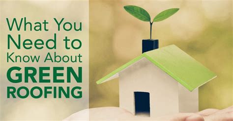 What You Need to Know about Green Roofing