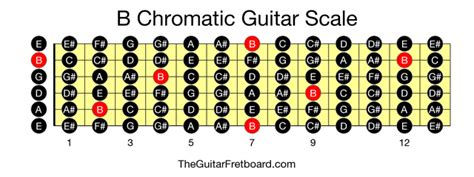 B Chromatic Guitar Scale - The Guitar Fretboard