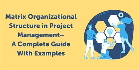 Matrix Organizational Structure in Project Management– A Complete Guide ...