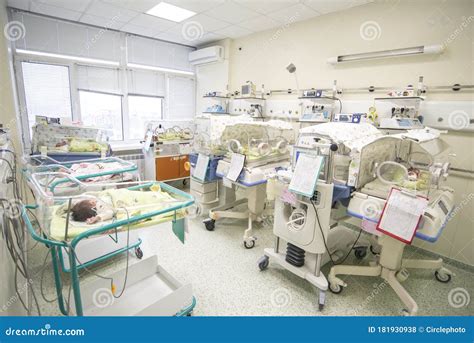 Newborn Babies in Birth Hospital Editorial Stock Photo - Image of doctor, babies: 181930938