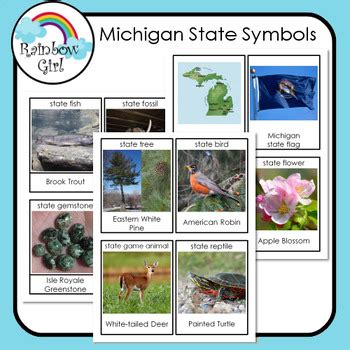 Michigan State Symbols by Rainbow Girl | TPT