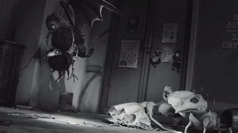 Frankenweenie (2012) - Cinema Cats