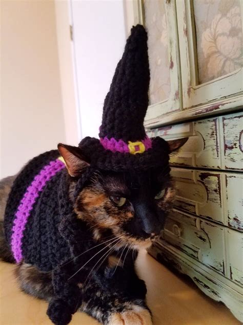 MADE TO ORDER Cat Witch Costume with or Without Hat Cat - Etsy