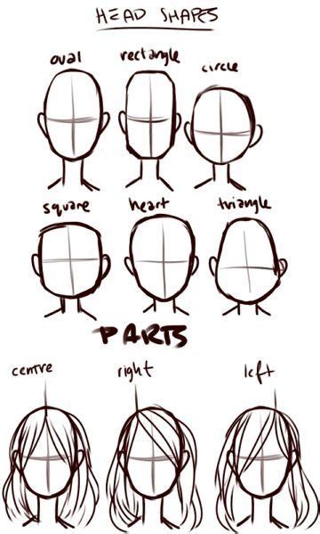 How to Draw: head shapes Drawing Lessons, Drawing Poses, Drawing ...