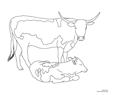 Longhorn Cattle Drawing at GetDrawings | Free download