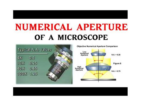 Microscope Objectives - Numerical Aperture (NA) Explained