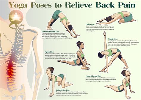 How to relieve back pain: 6 best yoga poses - Eco Health Lab