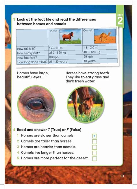 look at the fact file and read the differences between horses and ...