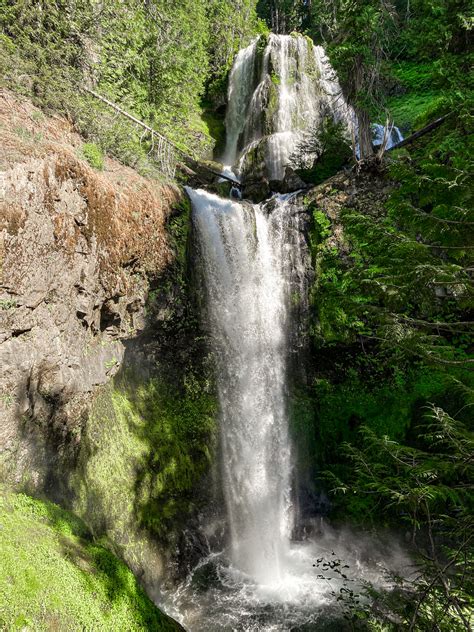 Falls Creek Falls: What to Know Before Hiking - Maddie Deer