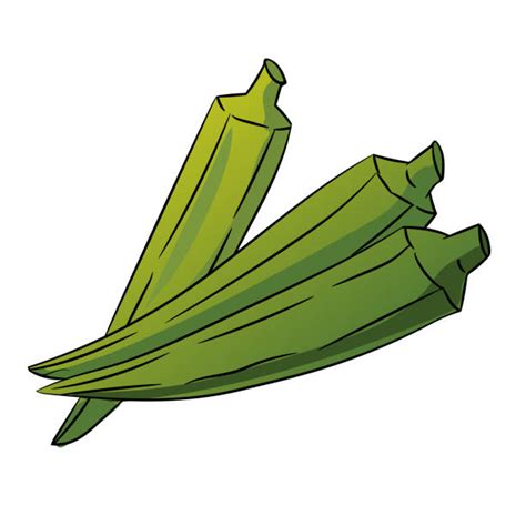 Okra Illustrations, Royalty-Free Vector Graphics & Clip Art - iStock