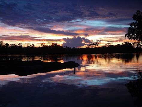 Sunset in the jungle of the amazon Photograph by Arno Peng