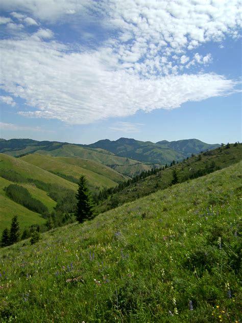 Summer in Montana. Highwood Mountains | Montana mountains, Beautiful ...