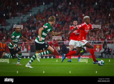 Estádio da Luz during Liga Betclic match between SL Benfica and ...