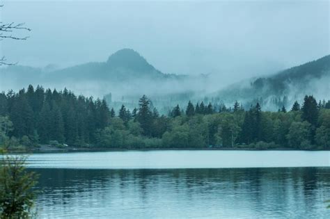 Premium Photo | Fog on the lake