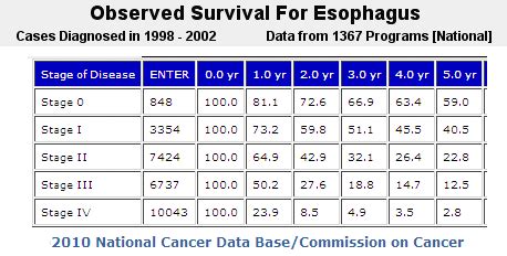 Survival Rate Esophageal Cancer Life Expectancy - CancerWalls