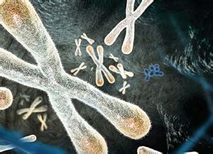 Chromatin Remodeling Proteins, Proteins & Enzymes - Epigenetics