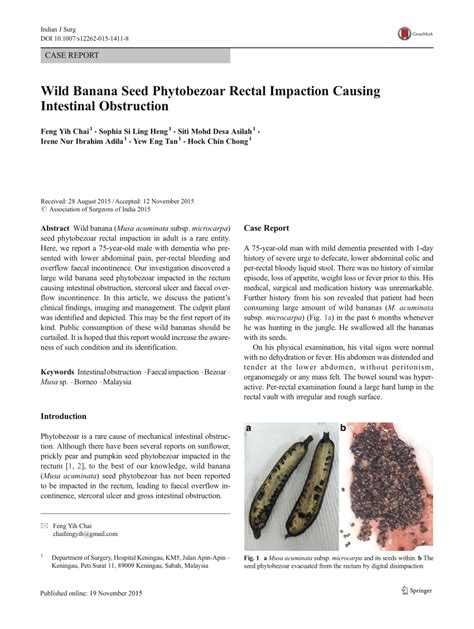 (PDF) Wild Banana Seed Phytobezoar Rectal Impaction Causing Intestinal Obstruction