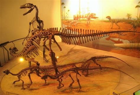 Tenontosaurus | Paleontology World