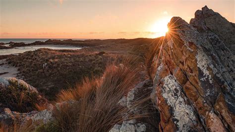 Six Beautiful Sights in Tasmania and Why You'll Want to See Them in Winter - Concrete Playground