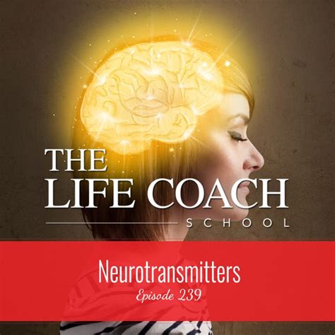 Ep #239: Neurotransmitters - The Life Coach School | The life coach school, Life coach, Life ...