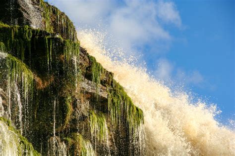 "Canaima National Park" Images – Browse 742 Stock Photos, Vectors, and Video | Adobe Stock