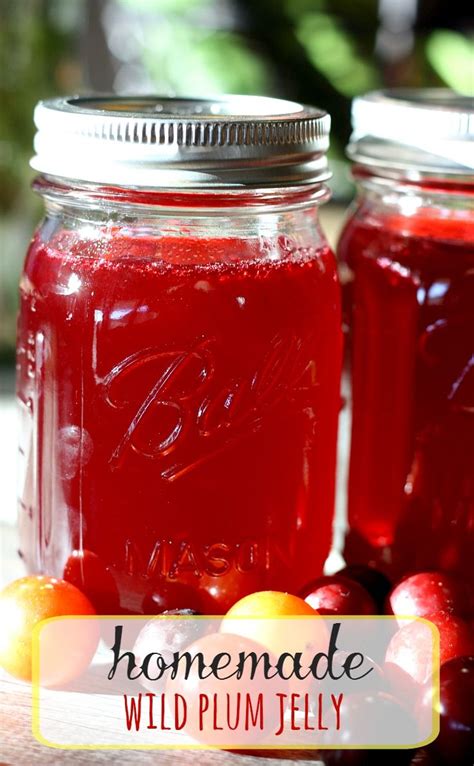 Homemade Wild Plum Jelly | Wild plum jelly recipe, Plum jelly recipes, Plum recipes