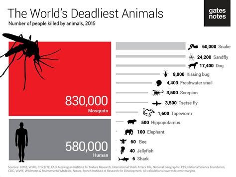 Imagicnation #06 | What's the deadliest animal of the world ?? — Hive