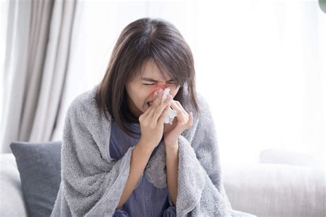 Antihistamines and decongestants: Which should you take for a stuffy nose? - MyDoc