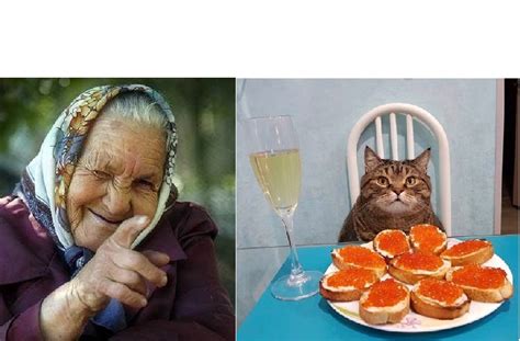 Babushka Winking at cat Blank Template - Imgflip