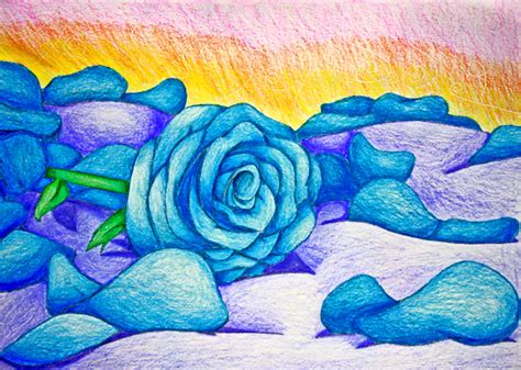 Blue Rose Drawing by Reitanna-Seishin on DeviantArt