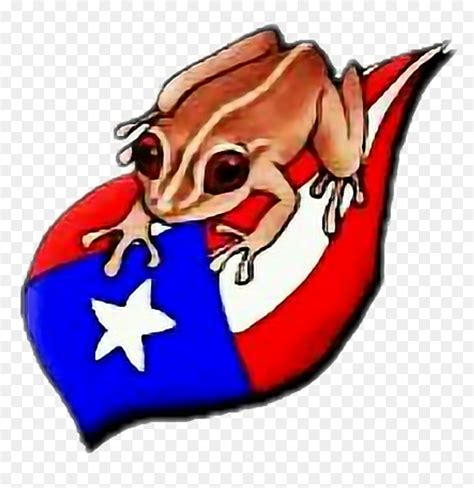 #puertorico Bandera Coqui - Coqui De Puerto Rico Dibujo, HD Png ...