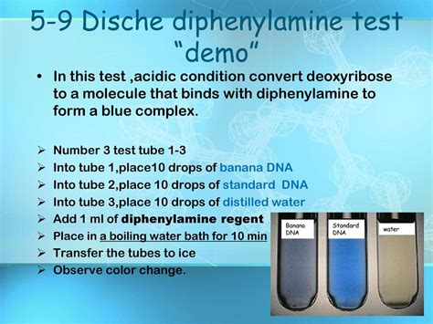 Biological Macromolecules & enzyme - ppt download