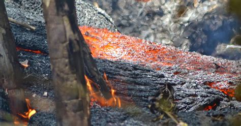 Family Travel Blog : Hawaii Daily Photo: River of lava up close