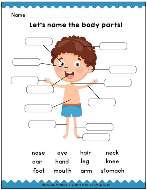 Printable: Identify the Body Parts Learning Worksheets - https ...