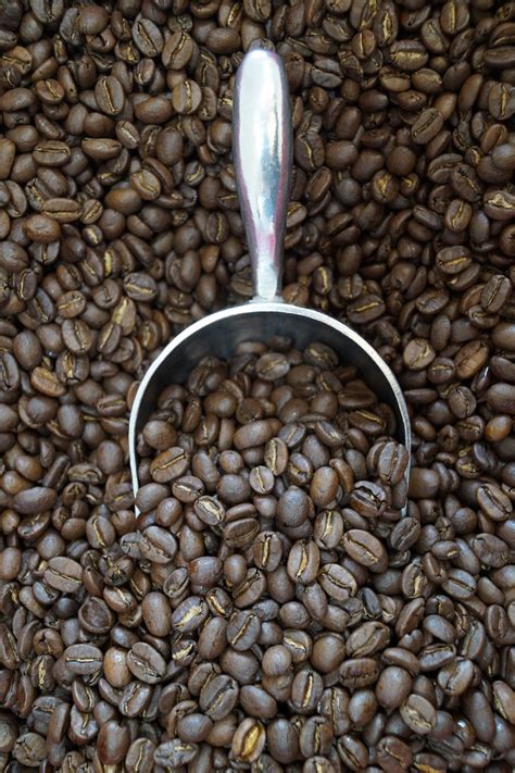 Free Images : coffee bean, food, produce, vegetable, crop, drink, caffeine, sunflower seed ...