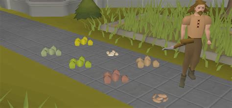 The 5 Best Ways To Get Seeds in OSRS – FandomSpot