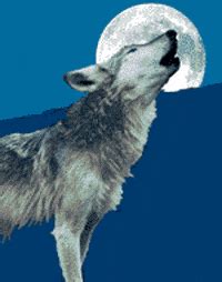 Howling Wolf GIFs - Get the best GIF on GIPHY