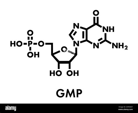 Guanosine purine nucleoside molecule Black and White Stock Photos ...