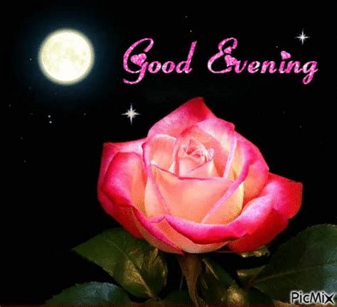 Good Evening Roses Gif - Download Best Good Evening Images Flowers ...