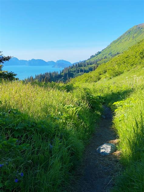 3 of the Best Hiking Trails Near Seward, Alaska