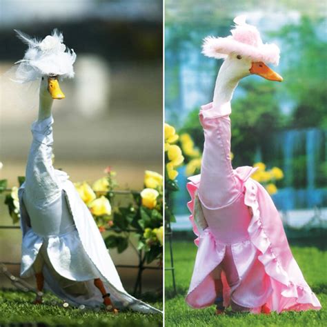 Did You Know There’s an Annual Duck Fashion Show In Sydney?