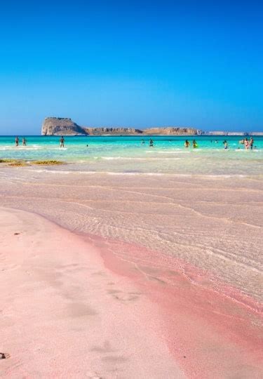 10 Gorgeous Pink Sand Beaches Around the World | Celebrity Cruises